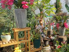 -国家植物园南园