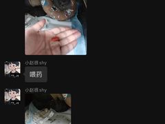 -半岛宠物医院24小时(科华中路店)