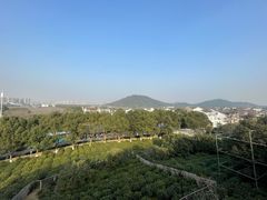 -树山生态村
