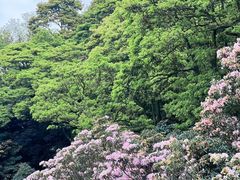 -梧桐山风景名胜区