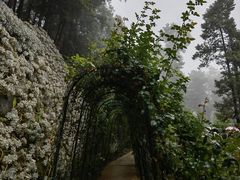 -寂照庵