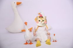 -童年时光专业儿童摄影(龙首店)