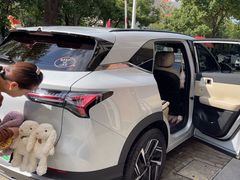 -车艺佳龙膜隐形车衣汽车贴膜(宝山丰宝店)