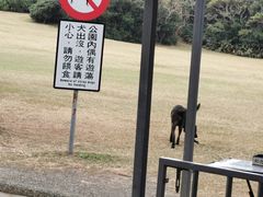 -鹅銮鼻灯塔