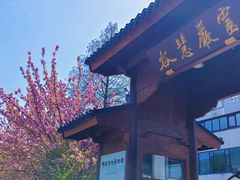 -灵岩山风景区