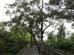 -福道