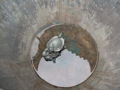 -乌镇东栅景区-修真观