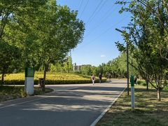 -坝河休闲公园
