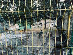 -丽泽山庄·生态怀柔菜·虹鳟鱼(红螺寺店)