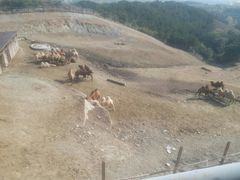 -大青山野生动物园