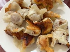 -东门饺子馆(少年宫路店)