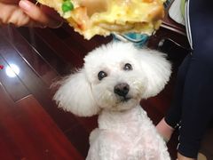 -达美乐比萨(武定店)
