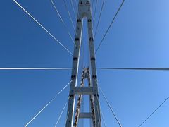 -沈阳鸟岛