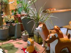 -柴务处·柴犬主题狗咖