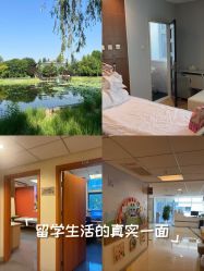 -北京新世纪妇幼医院·产检·分娩·计生(望京院区)
