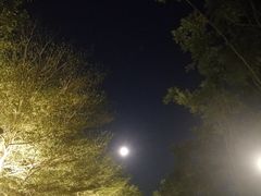 -福田体育公园