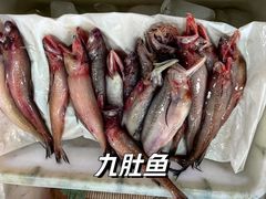 -大湾区中央湿地公园-十九涌