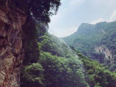 -少华山国家森林公园