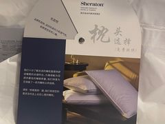-南京金丝利喜来登酒店