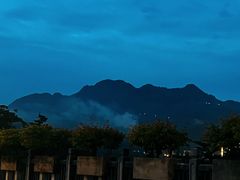 -中国科学院西双版纳热带植物园
