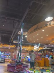 -卡通尼·Safari非洲探索乐园·生日会(金桥国际商业广场店)