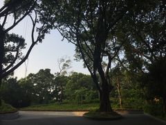 -中山公园儿童游乐场