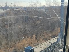 -大庆市博物馆