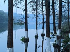 -重庆彩云湖湿地公园