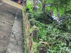 -老君山
