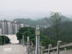 -铁山坪森林公园
