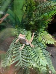 -酷嗒动物文化乐园(cutezoo西溪乐天城店)