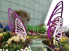 -重庆市江北嘴中央商务区中央公园