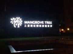 -三亚湾红树林度假世界(木棉酒店)