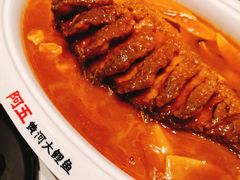 -阿五黄河大鲤鱼(海尚店)