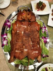 -苏州希尔顿酒店-宴会厅