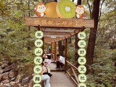 -大岭沟猕猴桃谷风景区