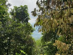 -七仙岭温泉国家森林公园