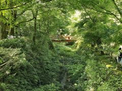 -三千院