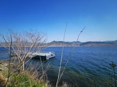 -河口景区