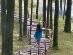 -玉苍山国家森林公园