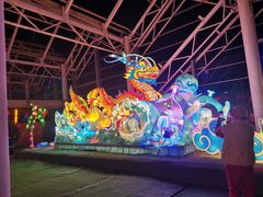 -南宫五洲植物乐园