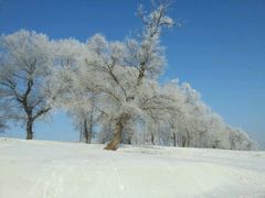 景点-雾凇岛