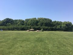 -昆山城市生态森林公园