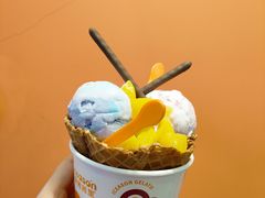 -iceason爱茜茜里·意大利健康冰淇淋(骑龙巷店)