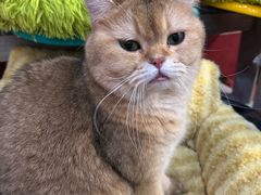 -和它·交个朋友·狗咖猫咖(爱琴海店)