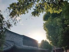 -台儿庄古城