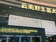 -芸山季·云南山珍菌火锅(南翔印象城MEGA店)
