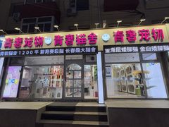 -青奢宠物·青奢猫舍