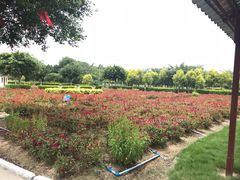 -广东花都香草世界旅游度假区