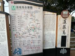 -莲花岛景区